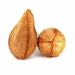 semi coconut