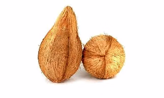 Semi Coconut