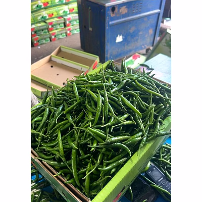 g4 green chilli