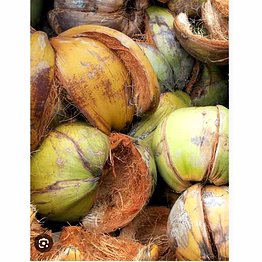 green cocnut husk