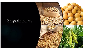 Soybeans