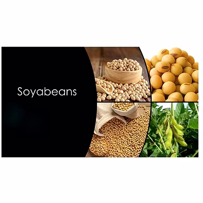 soybeans