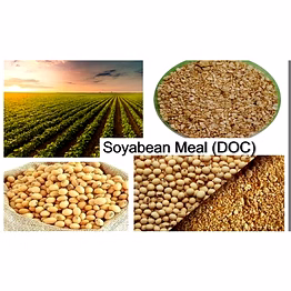 soyabean meal -de oiled cake (doc)