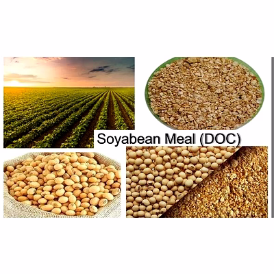 soyabean meal -de oiled cake (doc)
