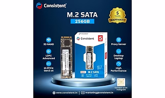 Consistent SSD 256GB M.2 SATA 2280, with 520MB/s Read Speed, PCIe Gen 3.0, 5 Years Warranty.