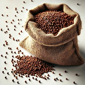 Mustard Seeds