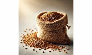 Cumin Seeds