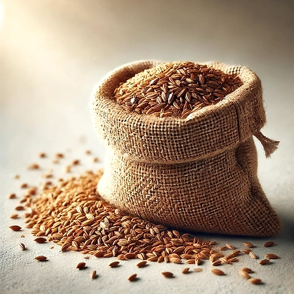Cumin Seeds-12683979
