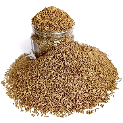 Cumin Seeds-2