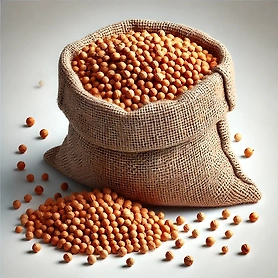 Coriander Seeds