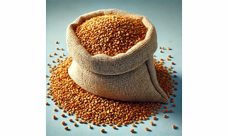 Fenugreek Seeds