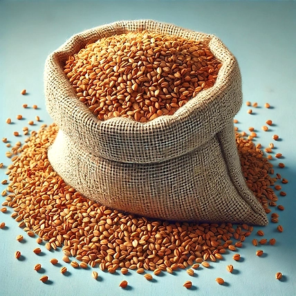 Fenugreek Seeds-12683967