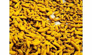 Turmeric Finger