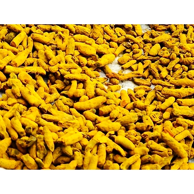 PAKHI Turmeric Finger