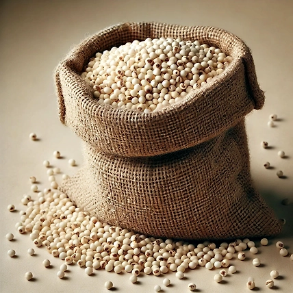 Sorghum Jowar-1