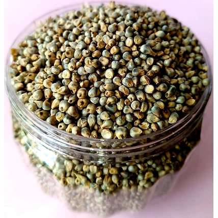 Pearl Millet Bajra-12684037