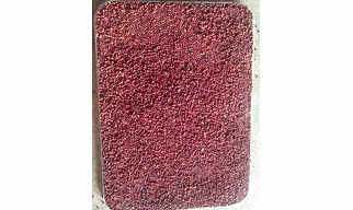 Finger Millet Ragi