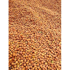 Desi Brown Chana