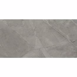agl armostone fossil