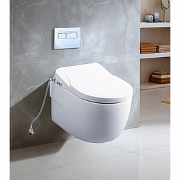 aquantindia 'swirl-flush' wall-hung wc with bidet seat cover