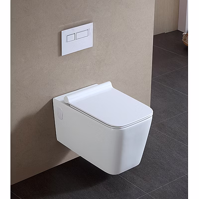aquantindia wall-hung toilet with slim uf seat cover