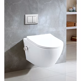 aquantindia rimless wall-hung toilet with in-built jet