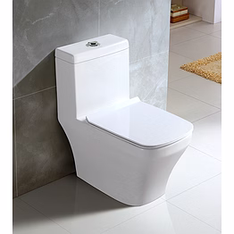 aquantindia floor-mounted 1-piece toilet with slim uf seat cover