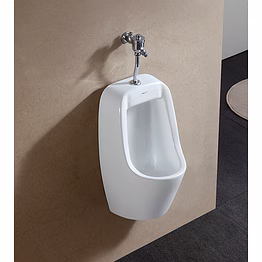 aquantindia urinal with top inlet