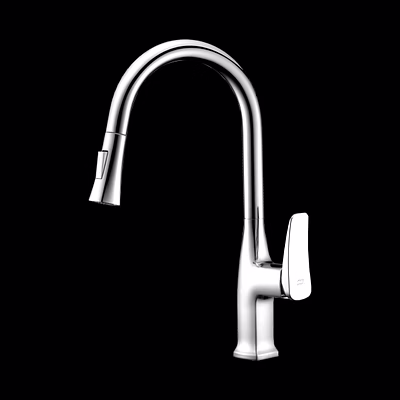 aquantindia chrome