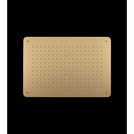 aquantindia brushed gold ss2 function concealed shower flows: rain, mist