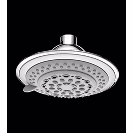 aquantindia abs multi-function head shower