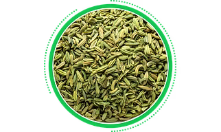 Fennel Seeds