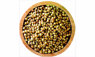 Coriander Seeds