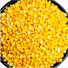 pulses & lentils