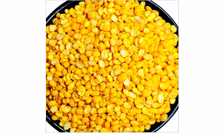 Pulses & Lentils