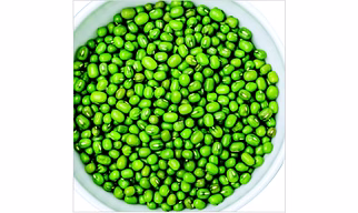 Pulses