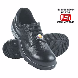 mount roman safety shoes