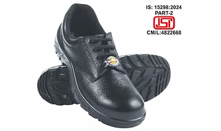 Mount Roman Safety Shoes