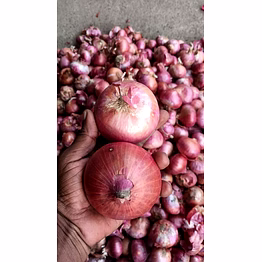 onion
