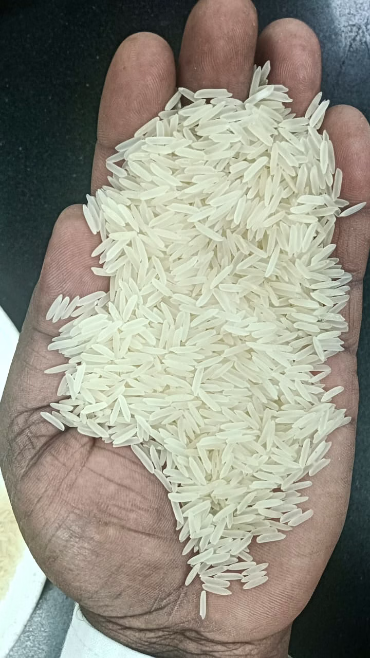 all type rice