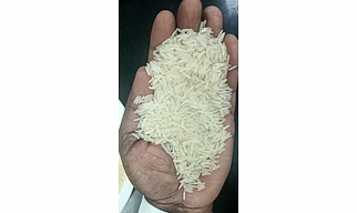 All type Rice
