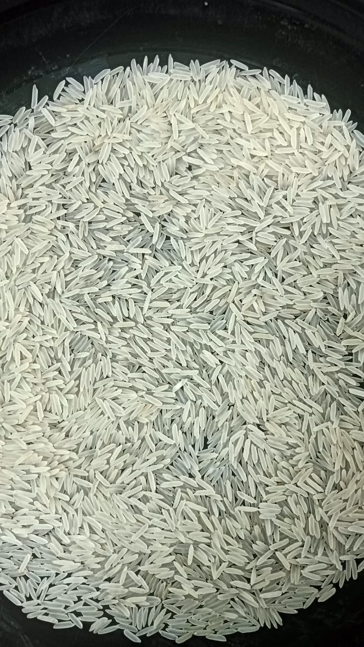 All type Rice image 3
