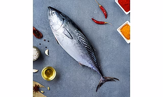 Tuna