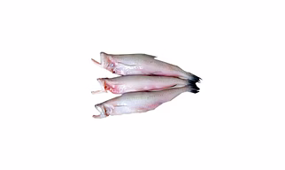Bombay Duck/ Bombil