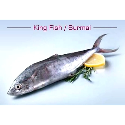 Surmai/ King Mackerel/ Seer Fish
