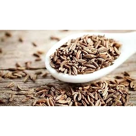 Cumin