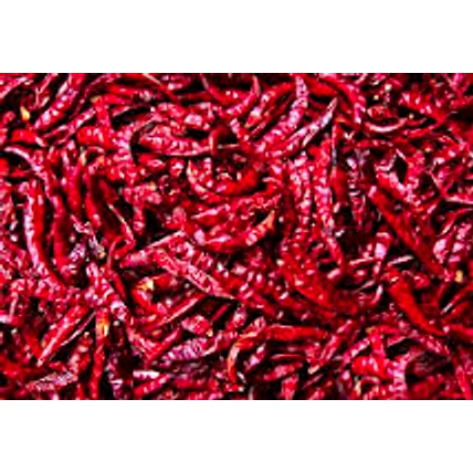 Dry Red Chilli-12679485