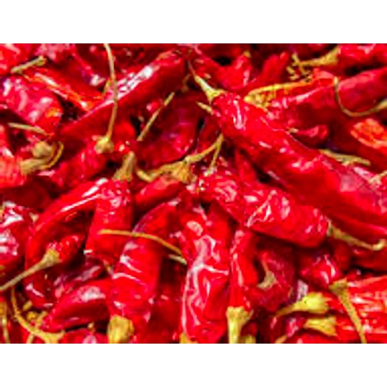 Dry Red Chilli-1
