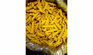 Turmeric Finger Japan Grade