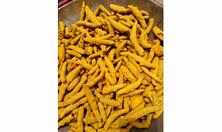 Turmeric Finger Europe Grade
